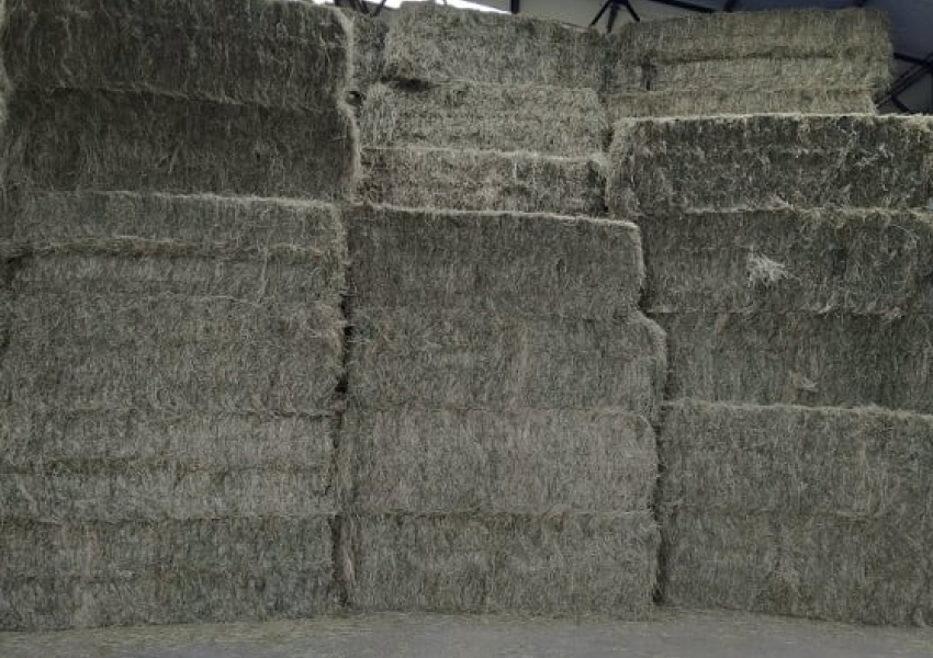 Foin sous abris Foin en stock