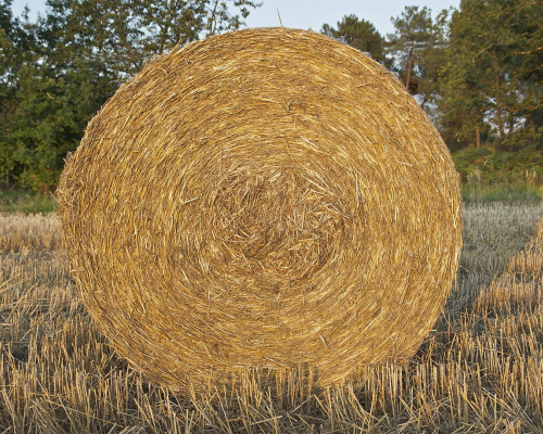 ballot rond de bonne qualité